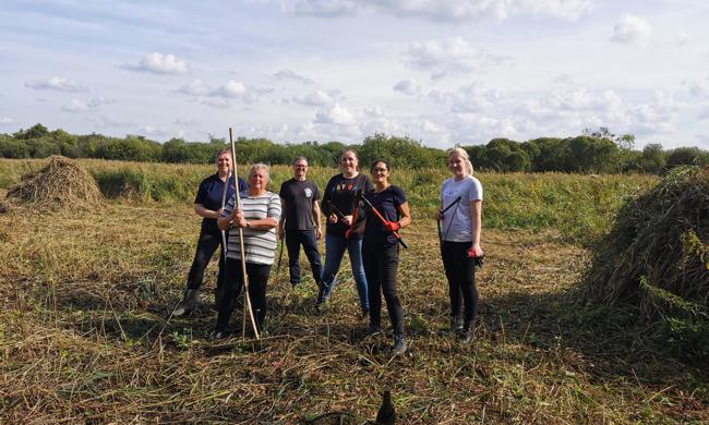 Saffron Staff Members Volunteering At Wheatfen Nature Reserve