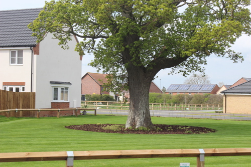 Briarswood, Harleston development