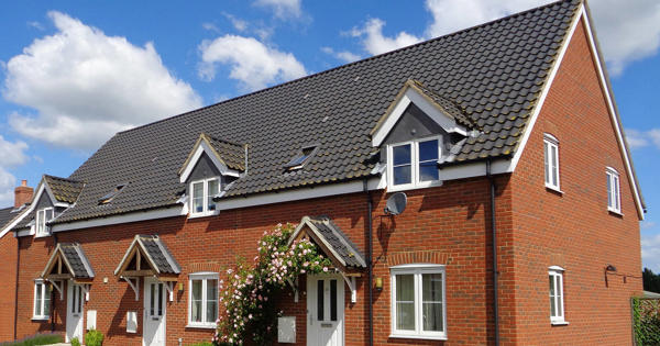 Terrance Houses In A Row With Flower Trellis