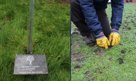 Queen's Canopy Plaque And Craftworker Planting A Tree