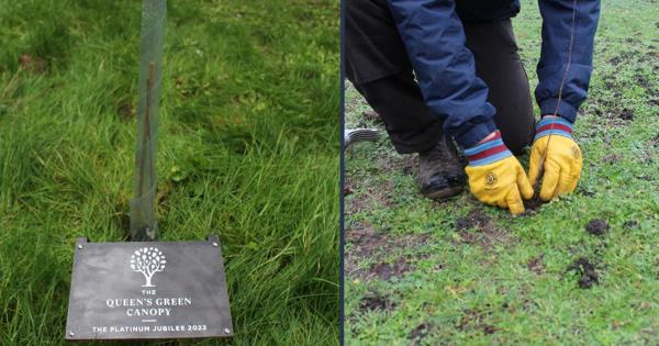 Queen's Canopy Plaque And Craftworker Planting A Tree