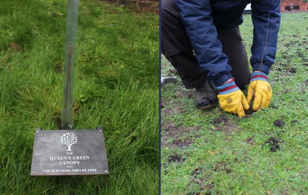 Queen's Canopy Plaque And Craftworker Planting A Tree
