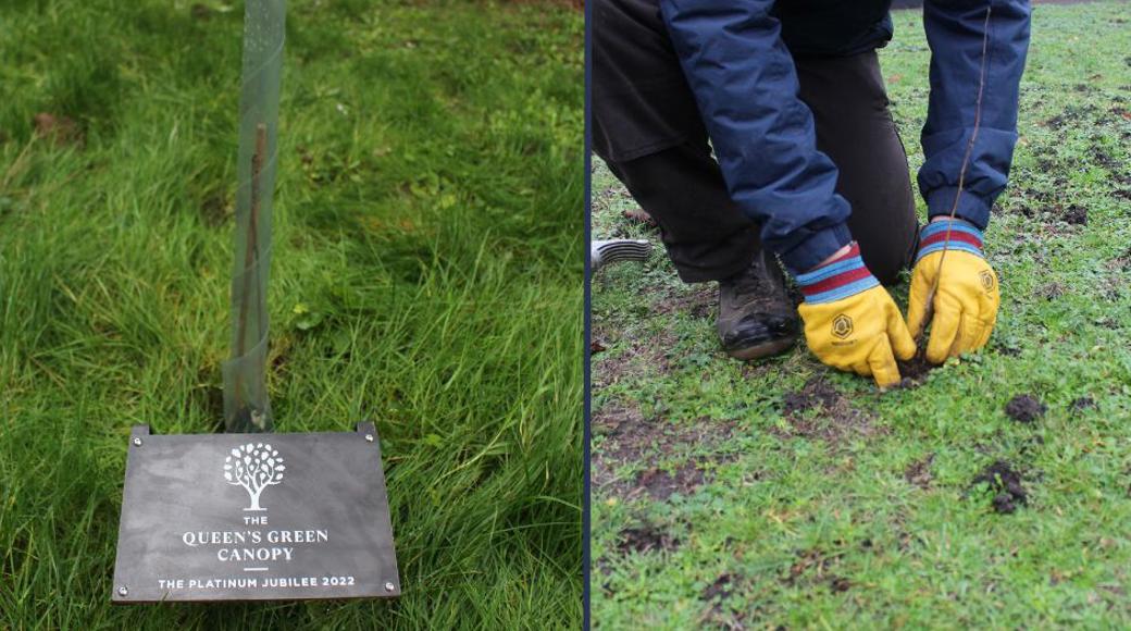 Queen's Canopy Plaque And Craftworker Planting A Tree