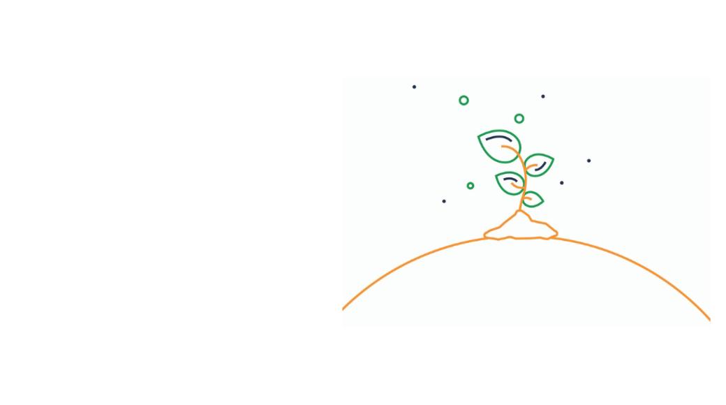 Plant 5050