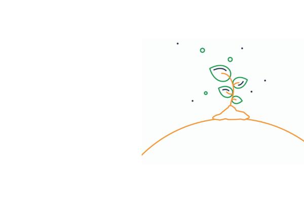 Plant 5050