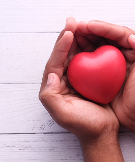 Hands Cupped Together Holding Red Heart Shaped Ball