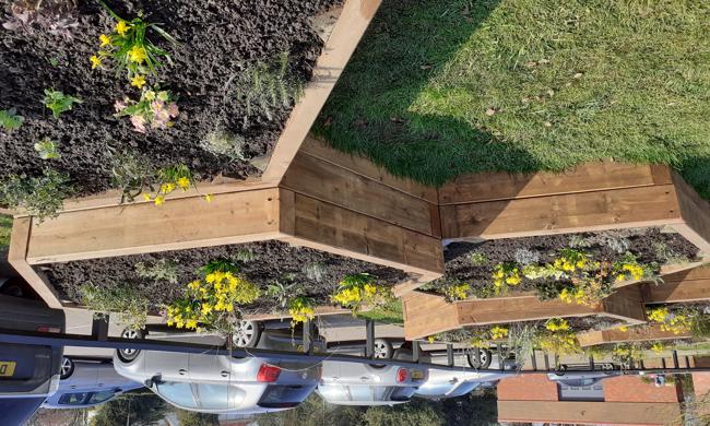 Wooden Raised Flower Beds With Yellow Flowers 
